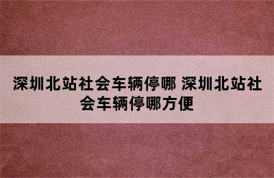 深圳北站社会车辆停哪 深圳北站社会车辆停哪方便